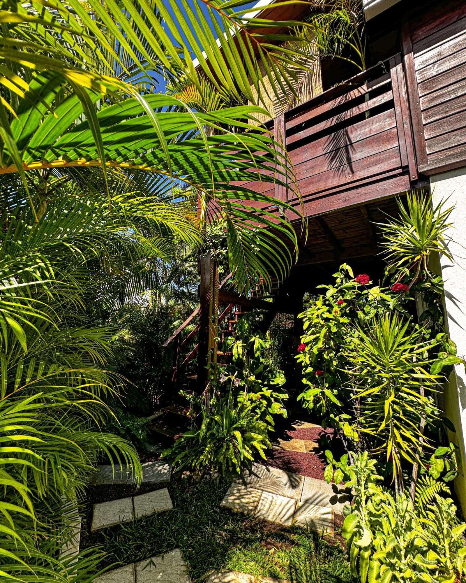 P'Ti Coin Zen Apartment Saint-Gilles-les Bains Ngoại thất bức ảnh